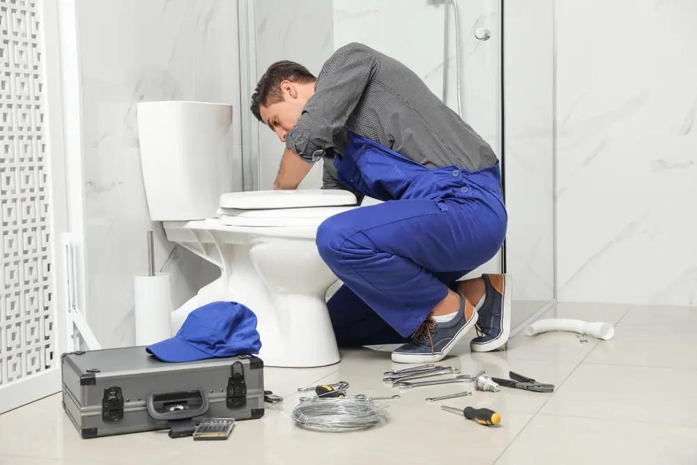 Toilet Installation in Laurium